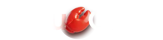 Vidu Claw